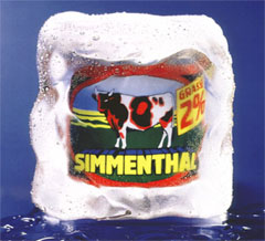 Simulazione del ghiaccio