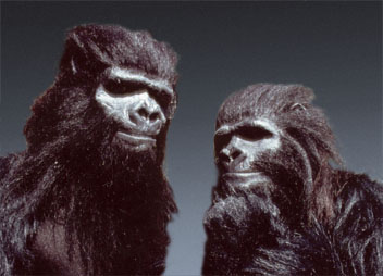Protesi da Gorilla