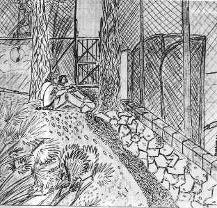 garden near football pitch